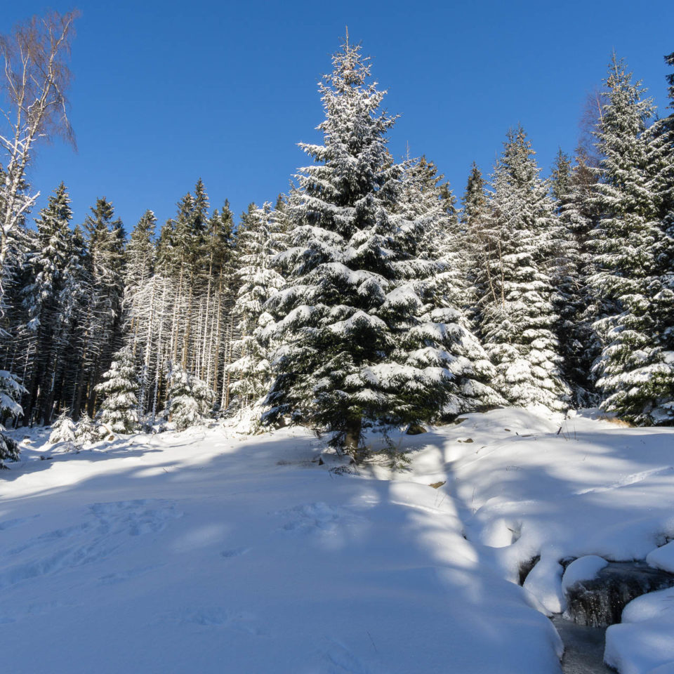 Januar 2017 – Schierke im Winter